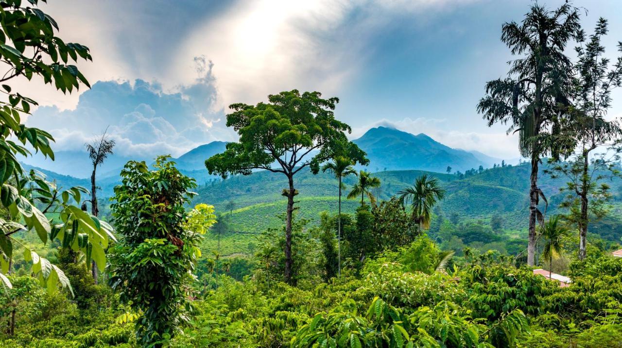 Pranavam Resort & Spa Tariyod エクステリア 写真