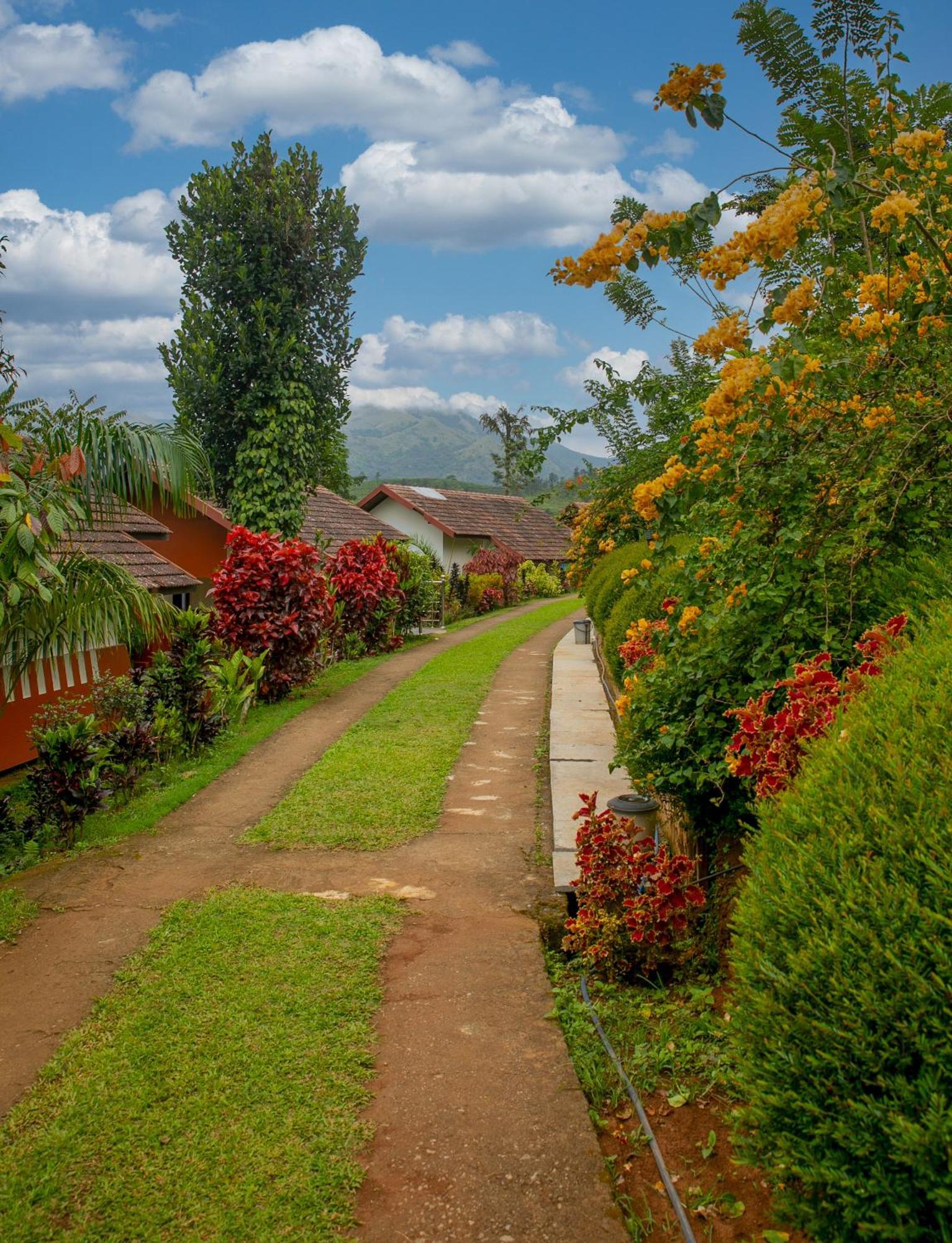 Pranavam Resort & Spa Tariyod エクステリア 写真